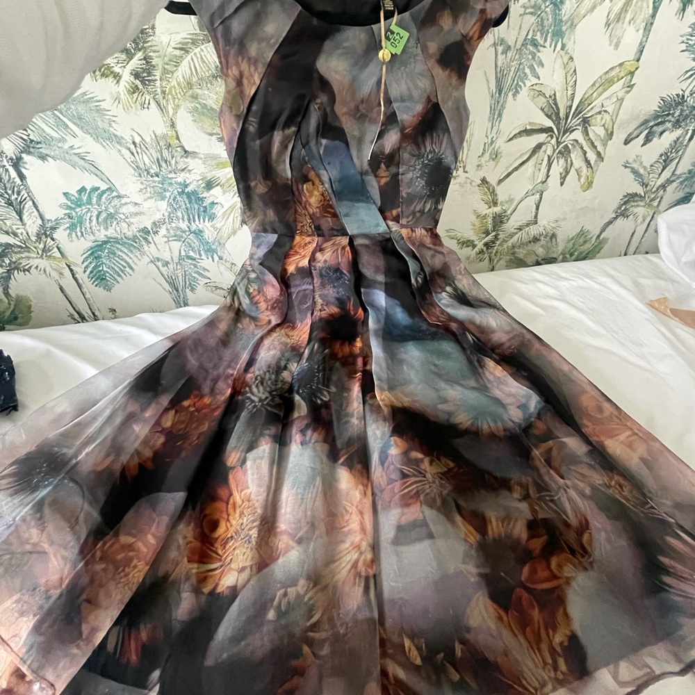 Ted Baker floral chiffon evening dress. Perfect condition.